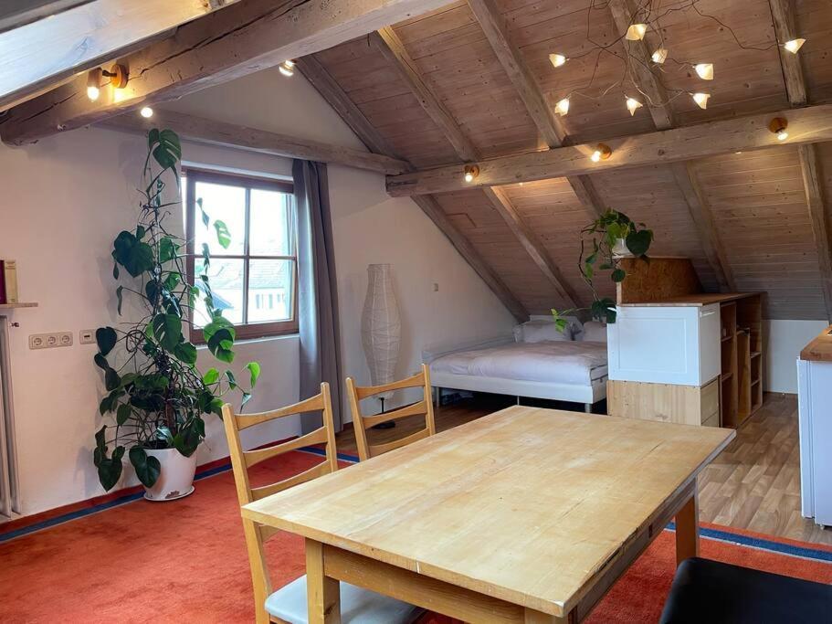 Apartment Sonnige 2-zimmer Unterm Dach